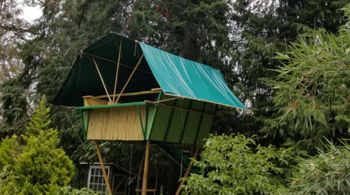 Bamboo Treehouse with soft top
