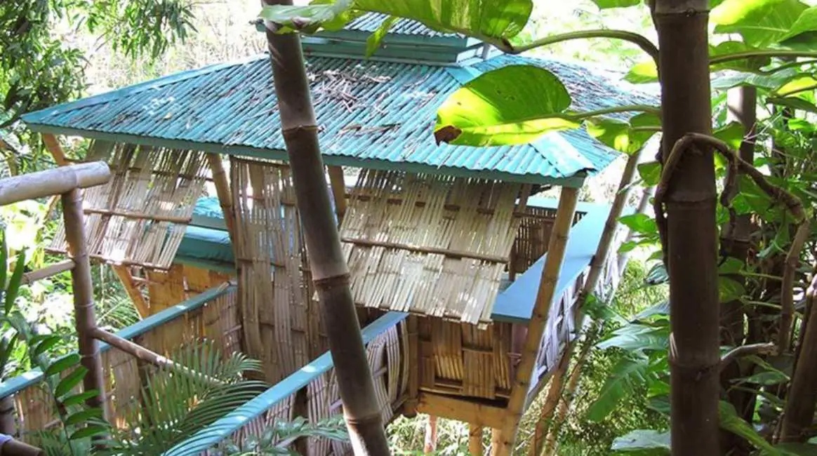 Hooch Bamboo Treehouse