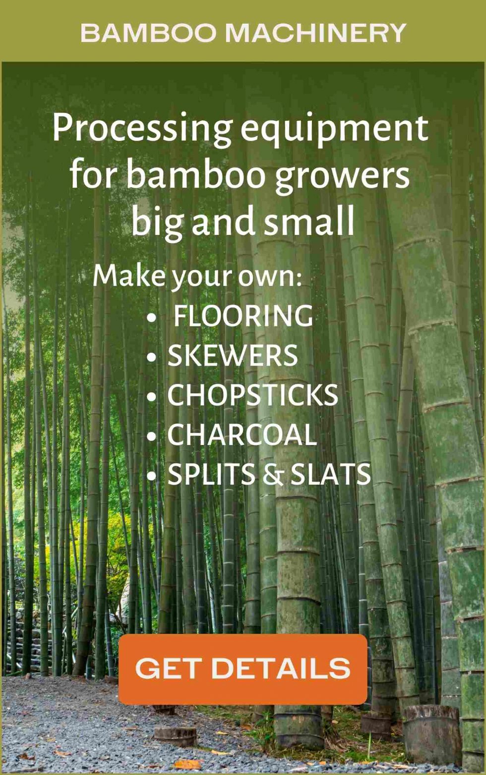 Best clumping bamboos: Never run again - Bambu Batu