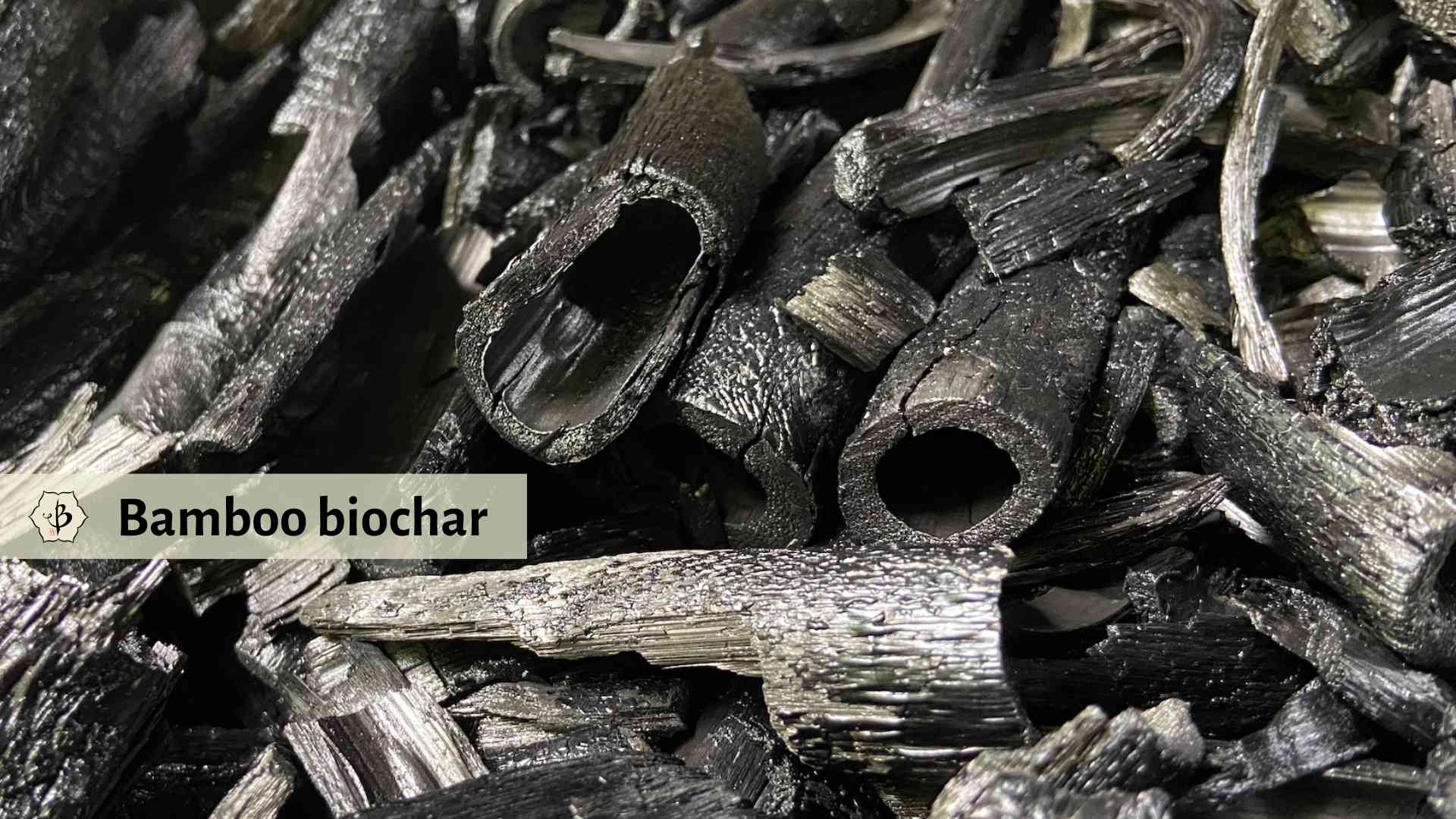 Bamboo biochar feature