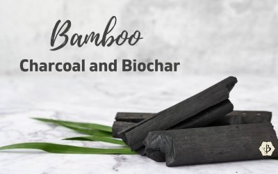 Uses and Benefits of Bamboo Charcoal and Biochar