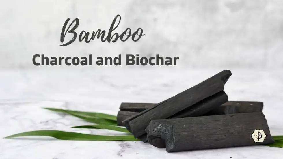 Uses and Benefits of Bamboo Charcoal and Biochar Bambu Batu