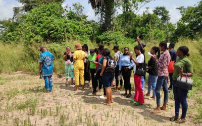 Researching bamboo in Nigeria