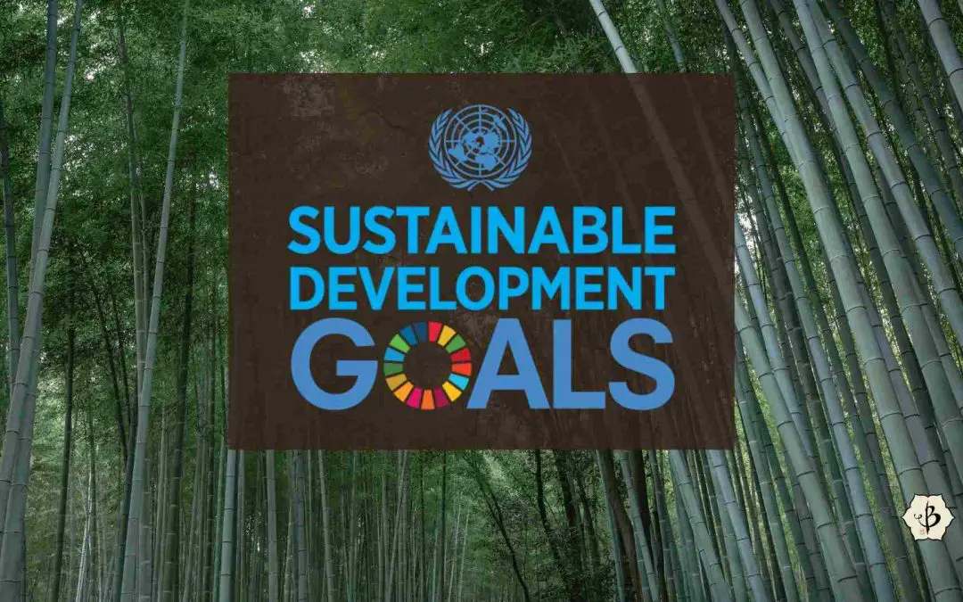 UN Sustainable development goals bamboo