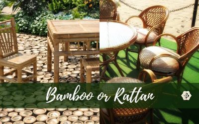 Bamboo and Rattan: What’s the difference?