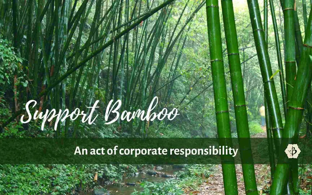 Supporting Bamboo: A display of corporate responsibility