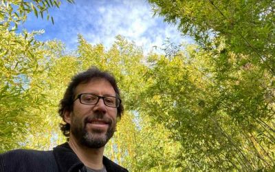 The Bamboo Personality Test