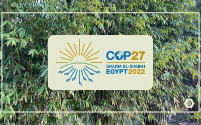 Bamboo at COP27: Any way forward?