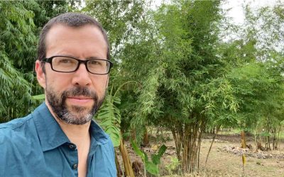 Bamboo Consulting with Bambu Batu