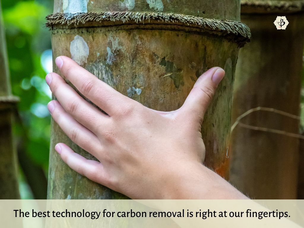 Carbon removal fingertips