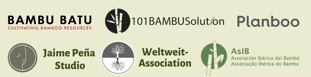 Mozambique Sponsor Banner 3