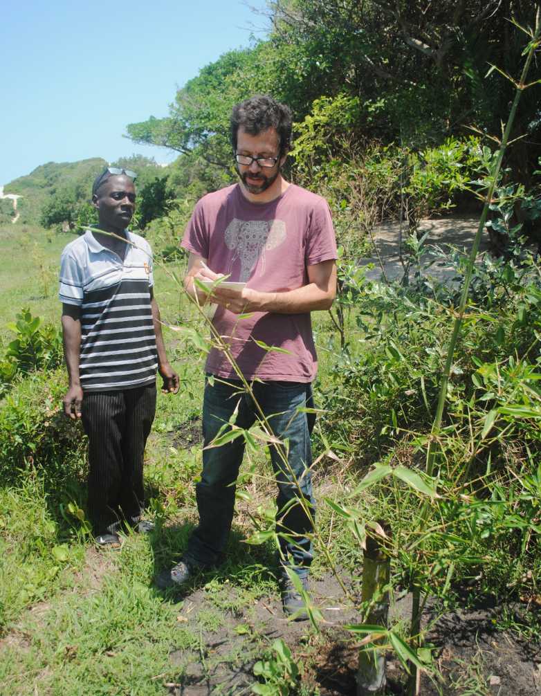 Fred Hornaday bamboo survey Mozambique