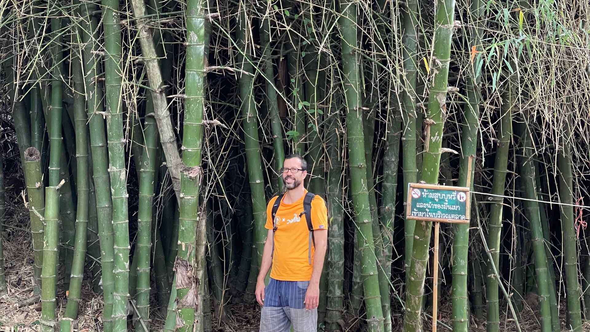 Fred Hornaday dwarfed by blumeana