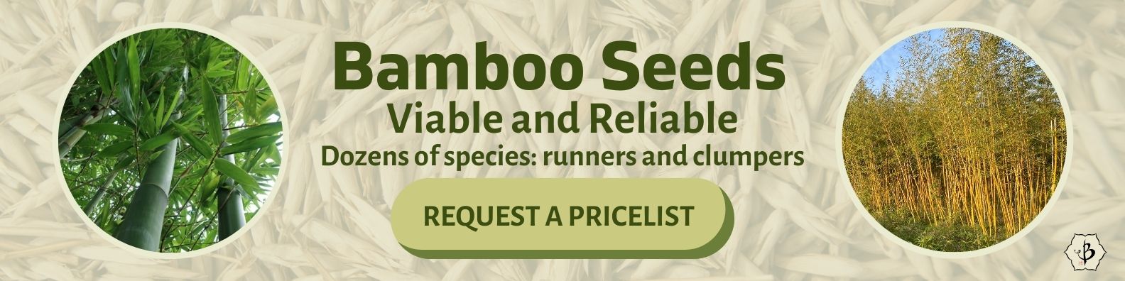 Bamboo seed banner