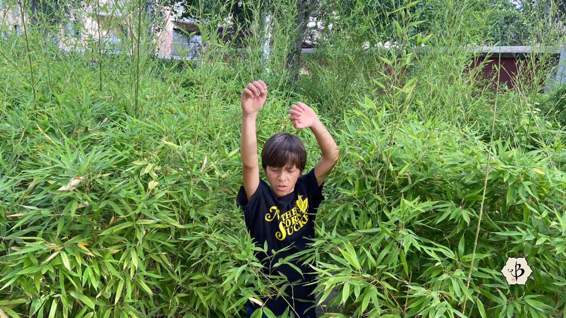 Dangerous Bamboo Invasion