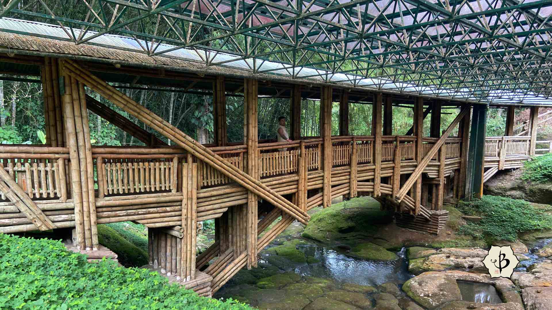 Guadua bamboo bridge in Colombia