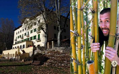 Bamboo Monologues: Chapter 1