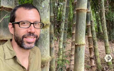 My bamboo love affair