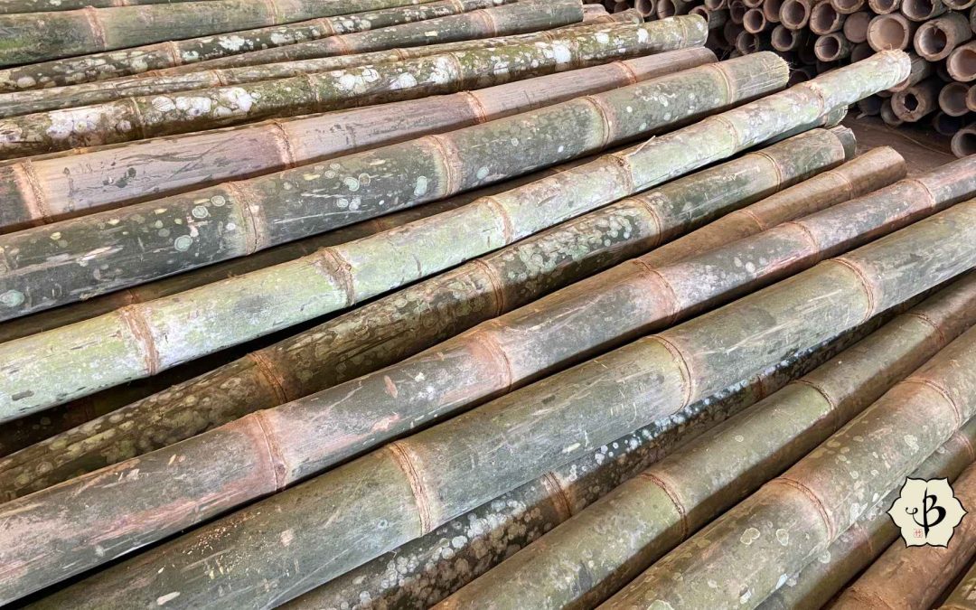 Commercial Bamboo Poles