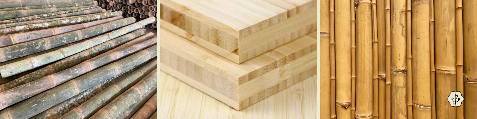 Sourcing Bamboo Poles
