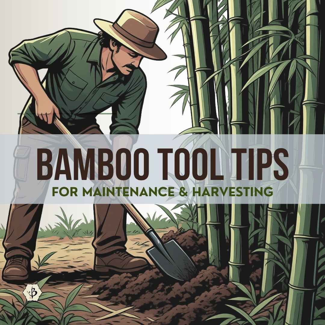 Bamboo Tool Tip Thumb 01